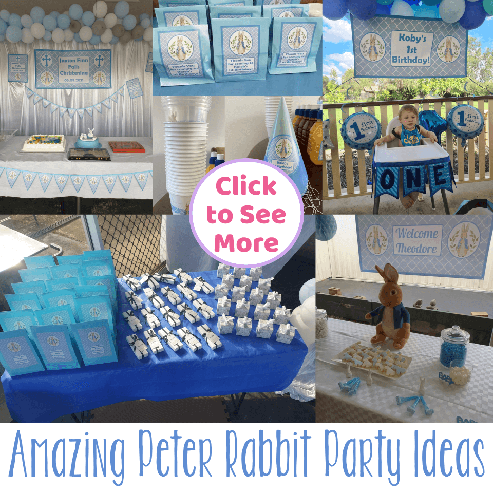 Peter Rabbit Birthday Party Balloon Decoration Set Kids Birthday