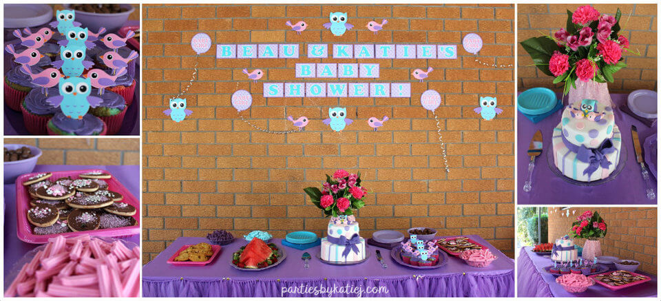 Birds & Owl Baby Shower