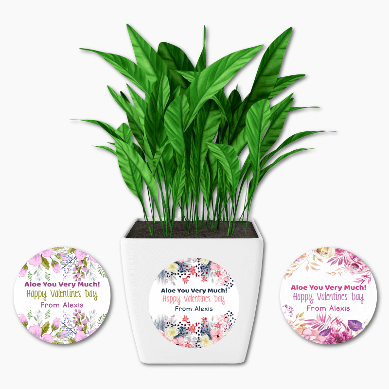 Aloe You Very Much Valentines Day Gift Plant Stickers