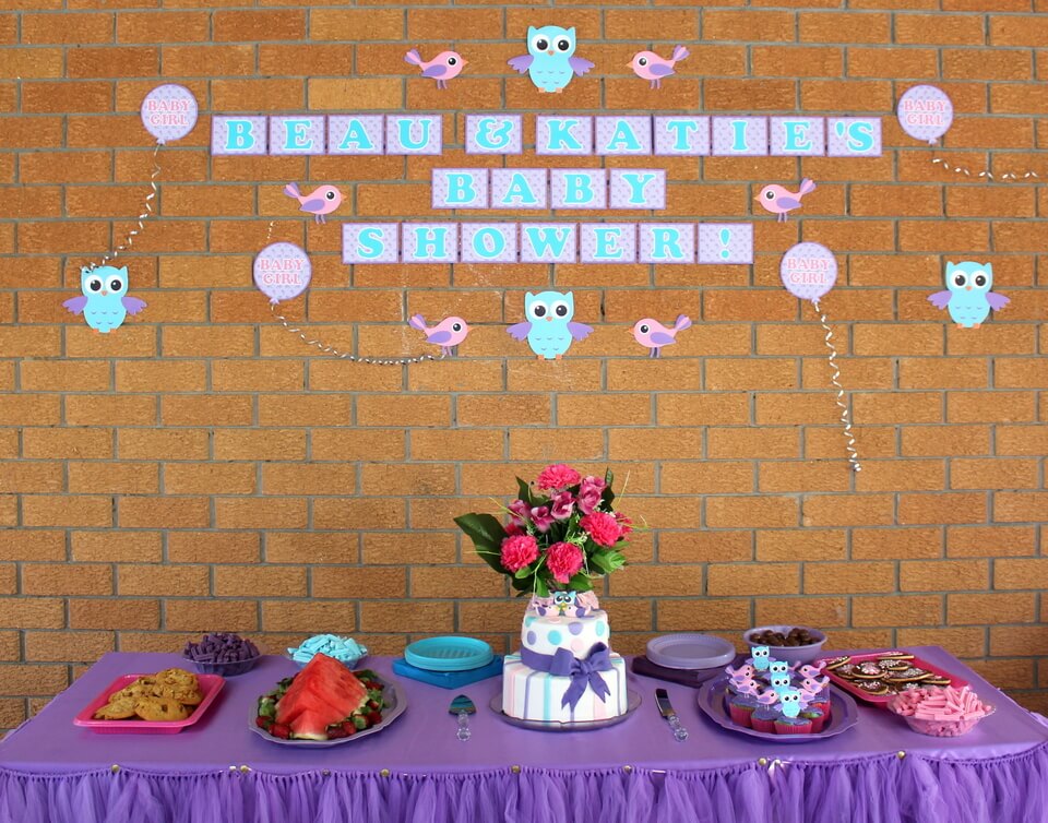 Birds and Owl Baby Shower