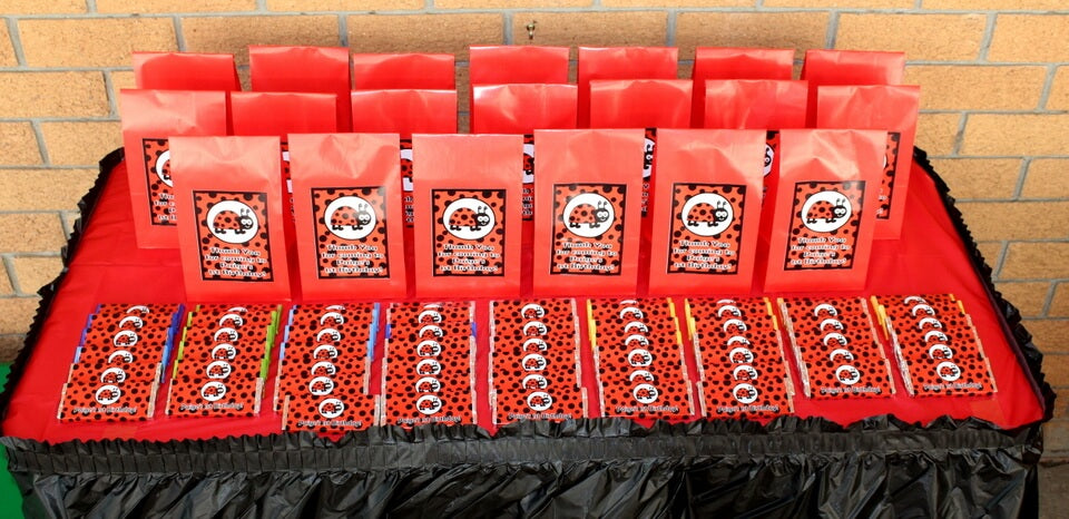 Lady Bug Party Bags & Favours