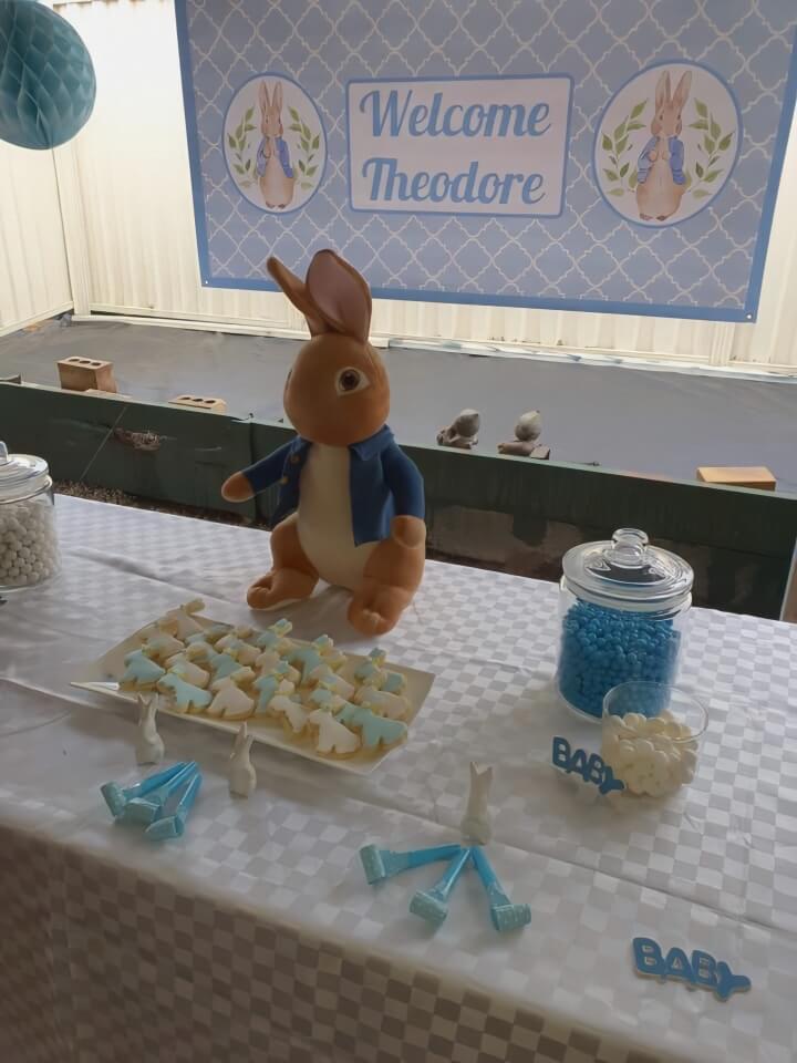 Sweet Peter Rabbit Birthday Deluxe Party Pack Decorations - Katie