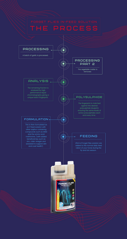 forget flies process flow chart