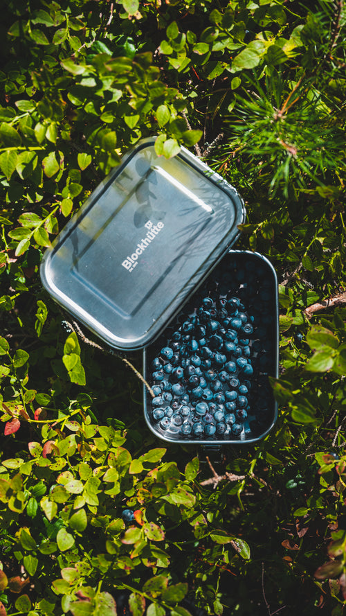 Blockhuette Stainless Steel Lunch Box filled with blueberries