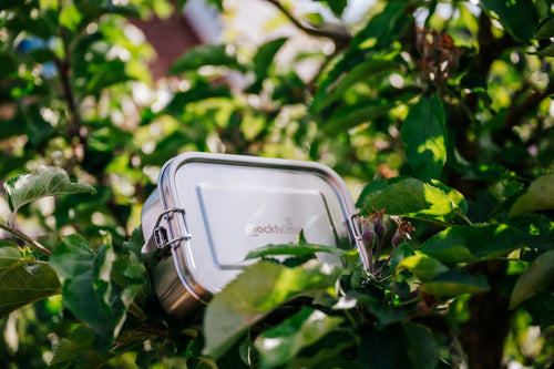 Blockhuette Stainless Steel Lunch Box in a tree