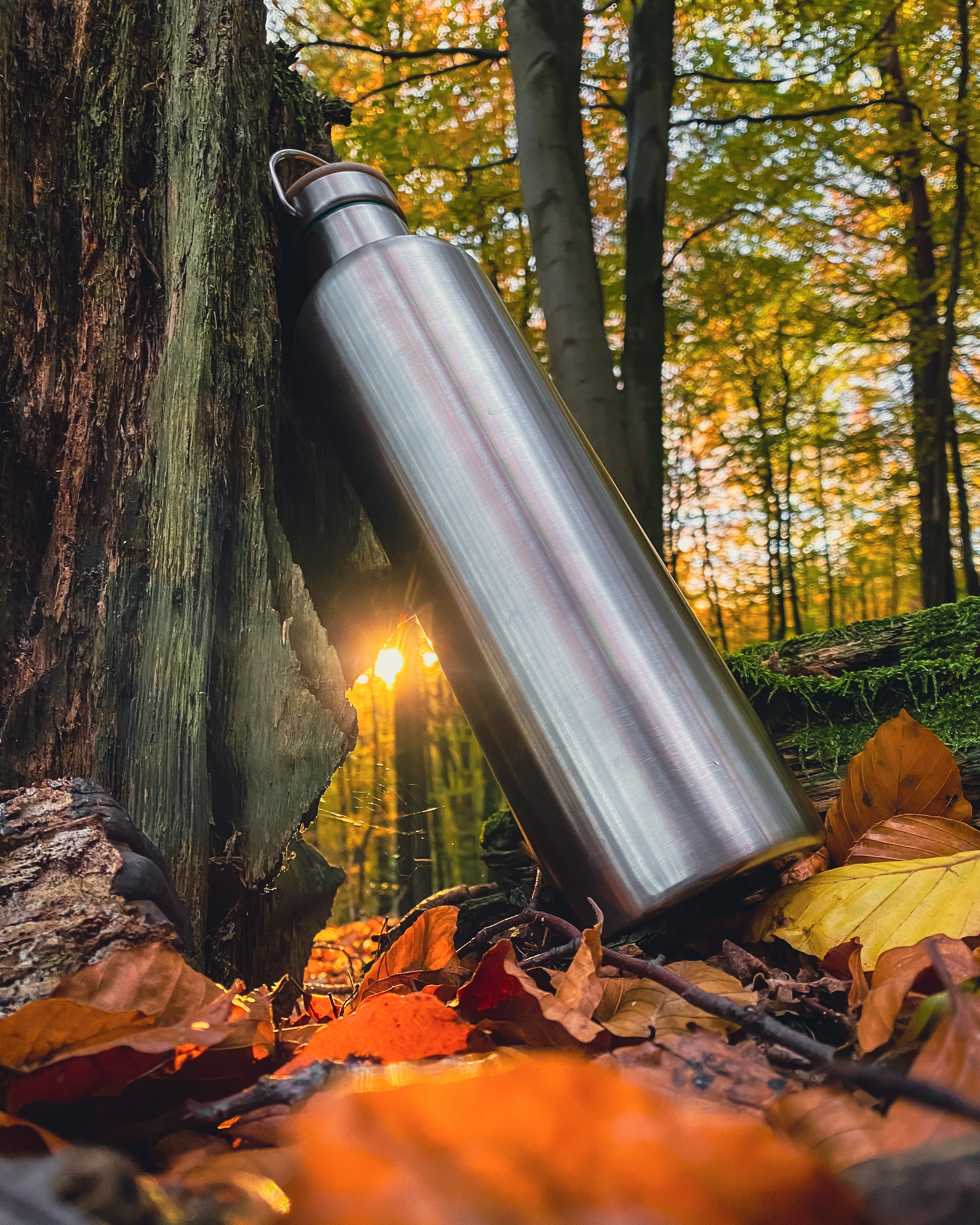 Blockhuette susainable stianless steel water bottle leaning on a tree in the forest