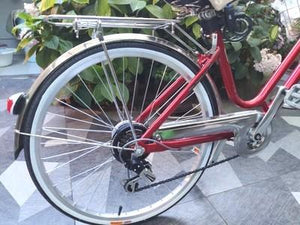 24 inch 6 speed bike