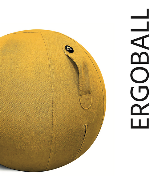 Ballon de rééducation Gym Ball - Siège ergonomique - Tous Ergo