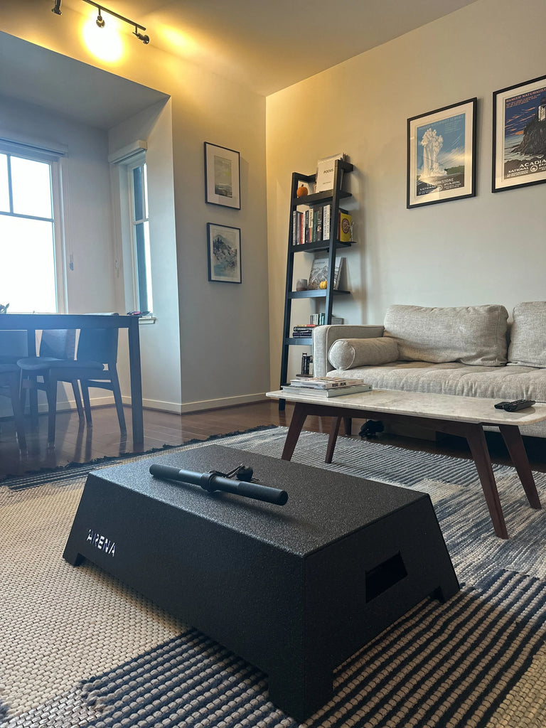 arena compact home gym in living room