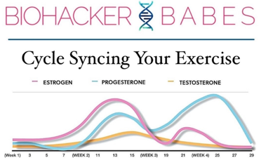 EXERCISE FOR YOUR CYCLE // how to workout with your cycle with the cycle  syncing method 