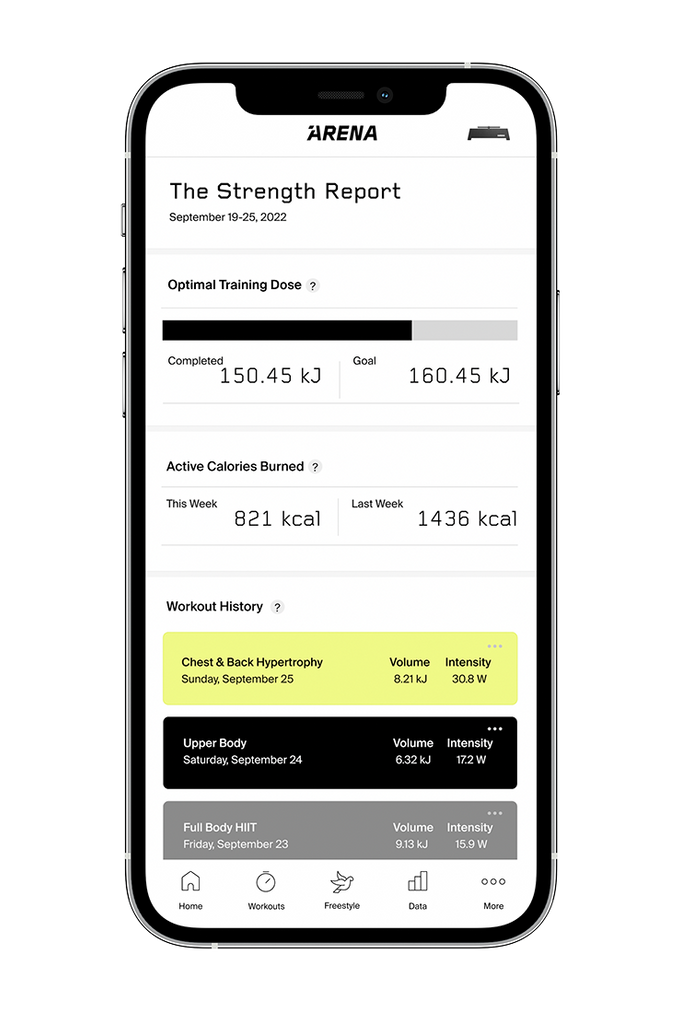 sample strength report from the ARENA home gym