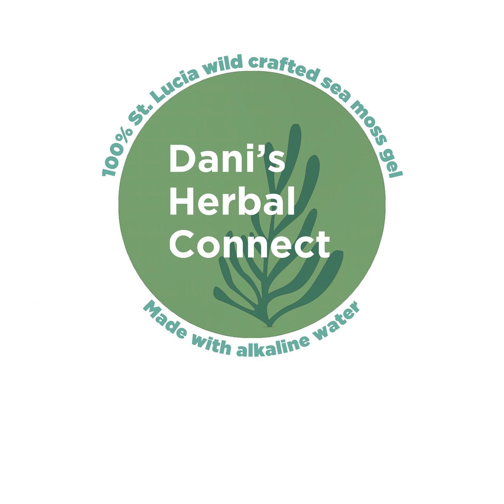 How To Use Sea Moss Gel Dani S Herbal Connect