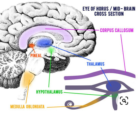 What is the third eye