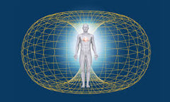 electromagnetic field around a human