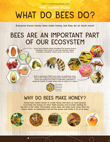 Weeks Honey Farm : Free Bee & Honey Educational Resources – Weeks ...