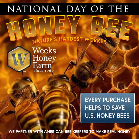 National Honey Bee Day