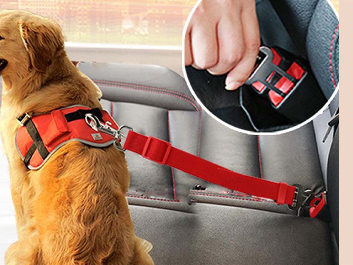 Pet Seat Belt Harness