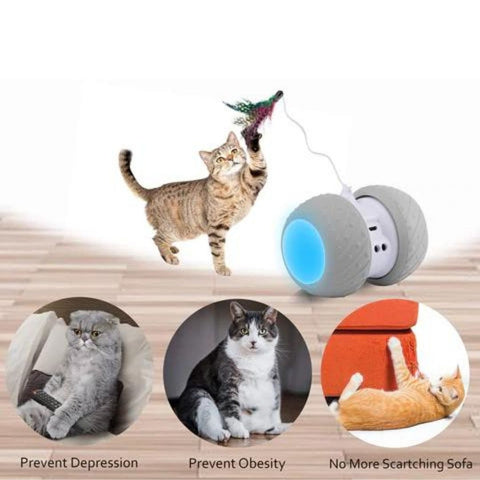 Interactive cat toy