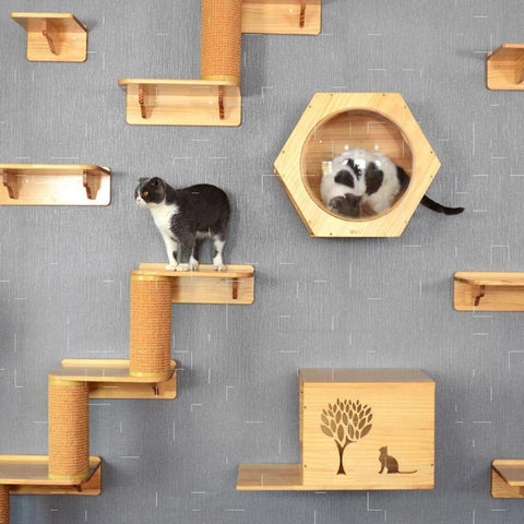 Cat wall climbing frames