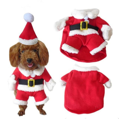 Pet Costumes for Halloween and Christmas