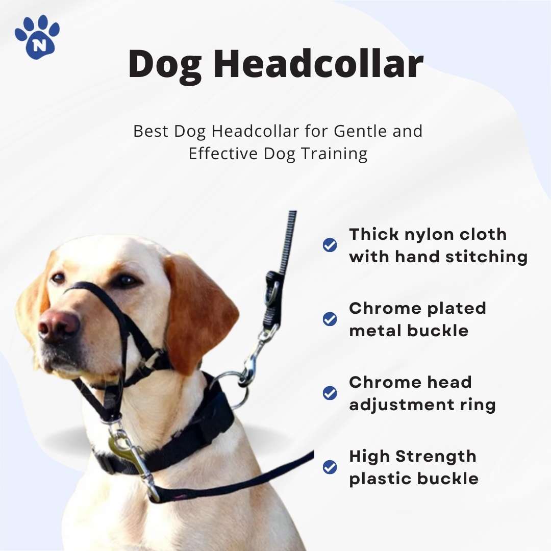 Dog Headcollar