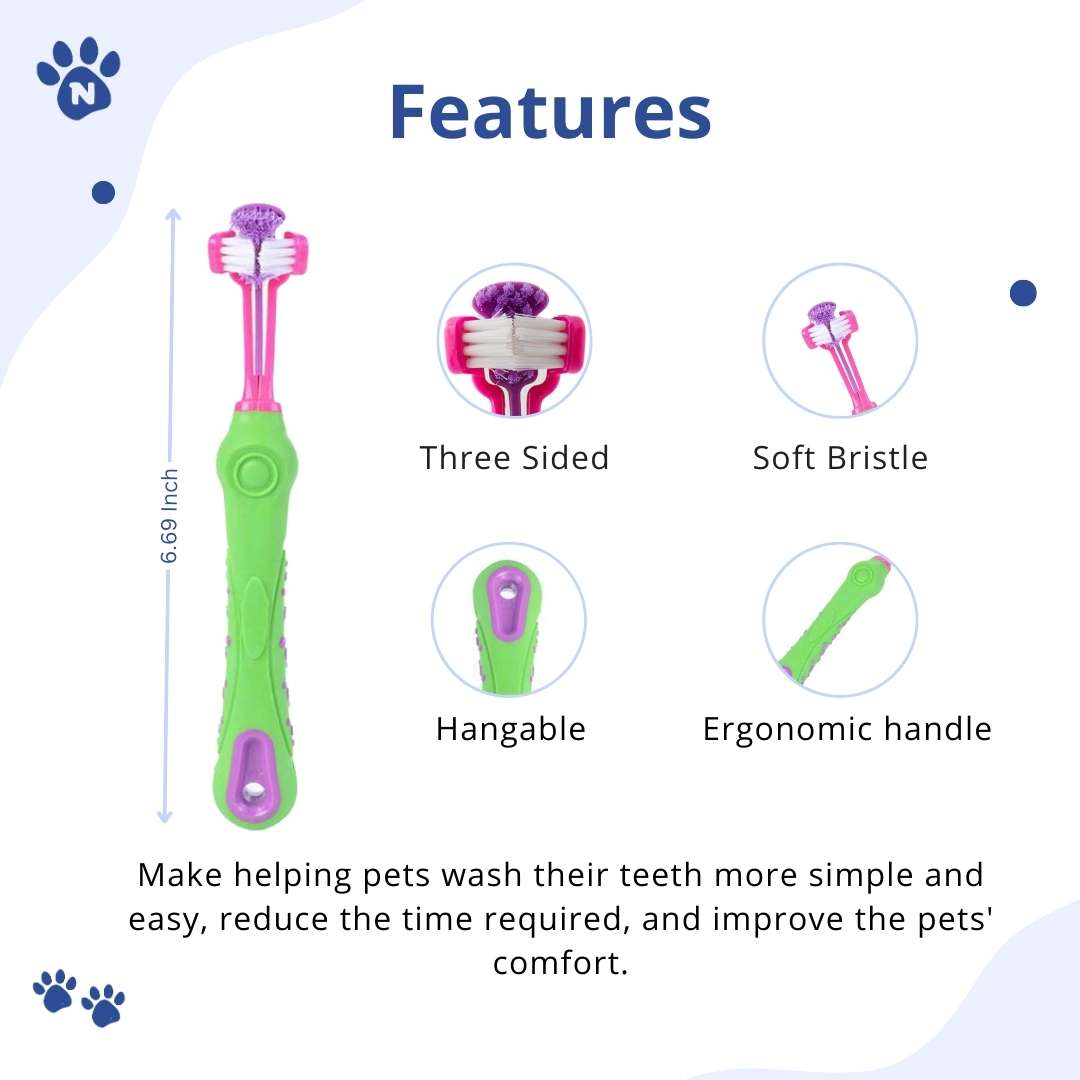 Pet Toothbrush