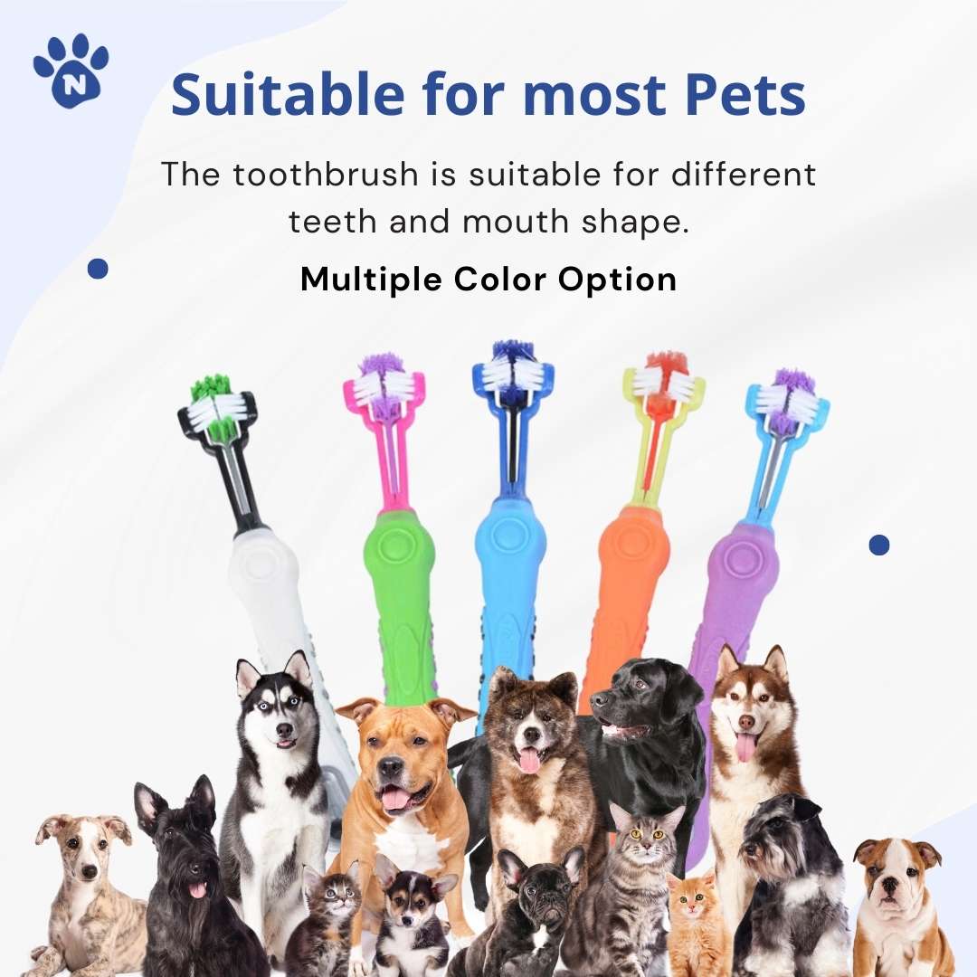 Pet Toothbrush