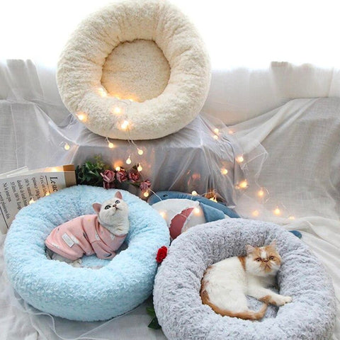 Cats lying in fluffy cat beds