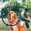 Cleaning Bathing Sprayer Dogs Brush Pet Supplies