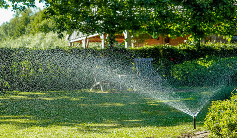 Pulvérisateur à pression, Comment prenez-vous soin de votre jardin ? Ce  qui est sûr, c'est que ce pulvérisateur de jardin vous simplifiera la tâche  pour arroser vos plantes et vos