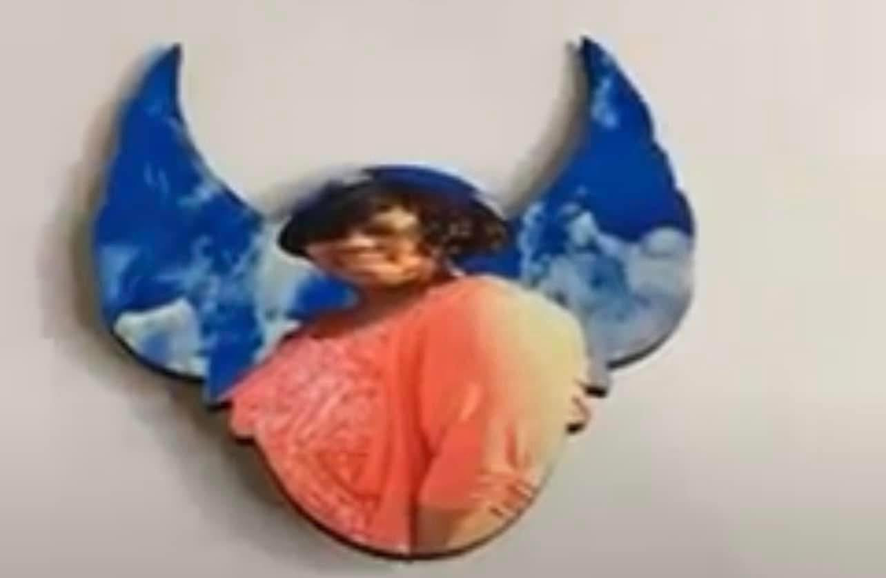 Wing Brooches