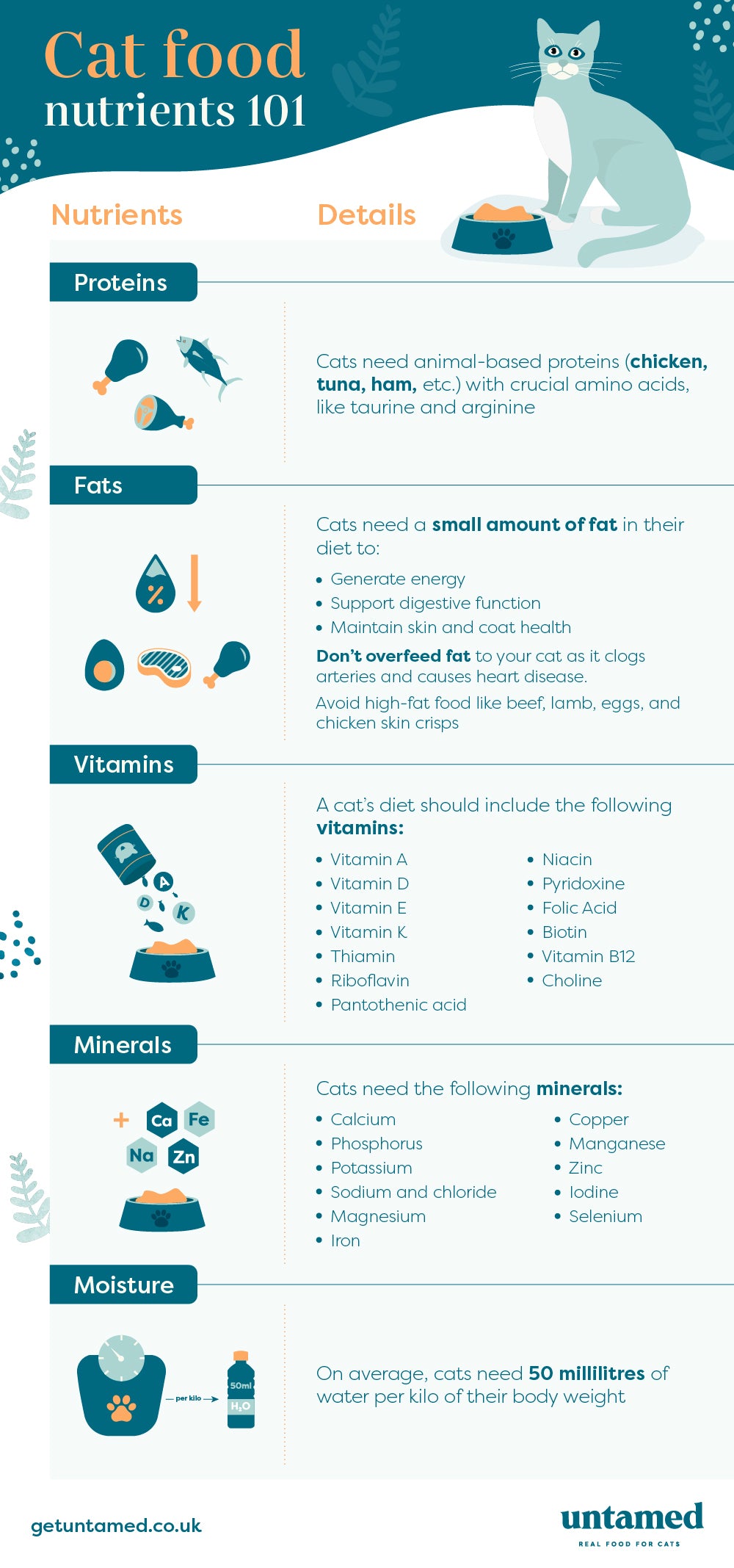 Infographic presenting all the necessary nutrients for a feline to be healthy