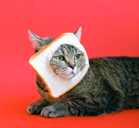 A grey tabby cat lying in a red background and wearing a loaf of bread with a cavity to fit their face
