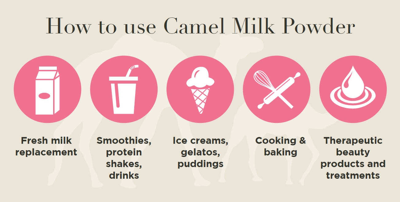 How To Use Camel Milk Powder