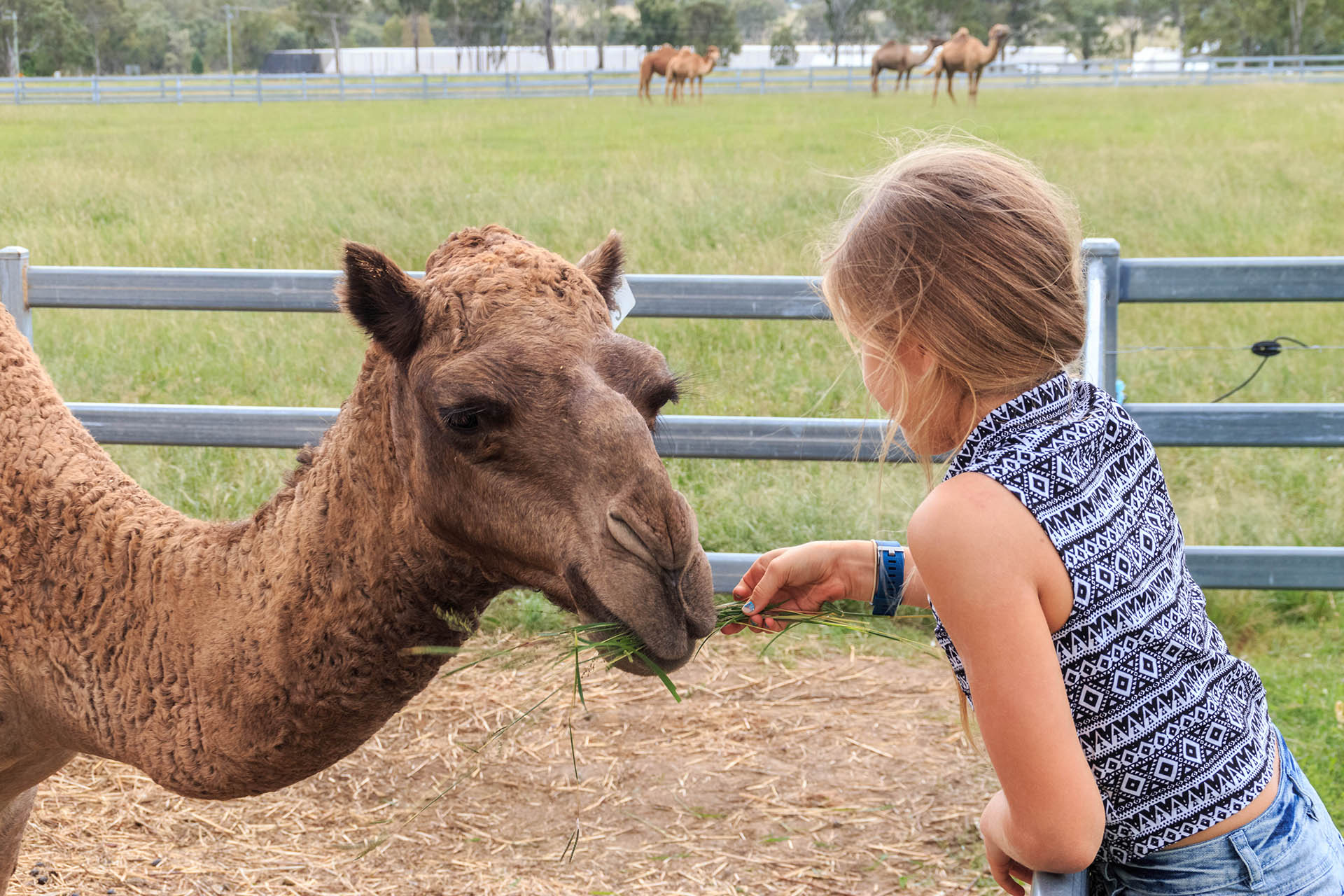 School Farm Tours