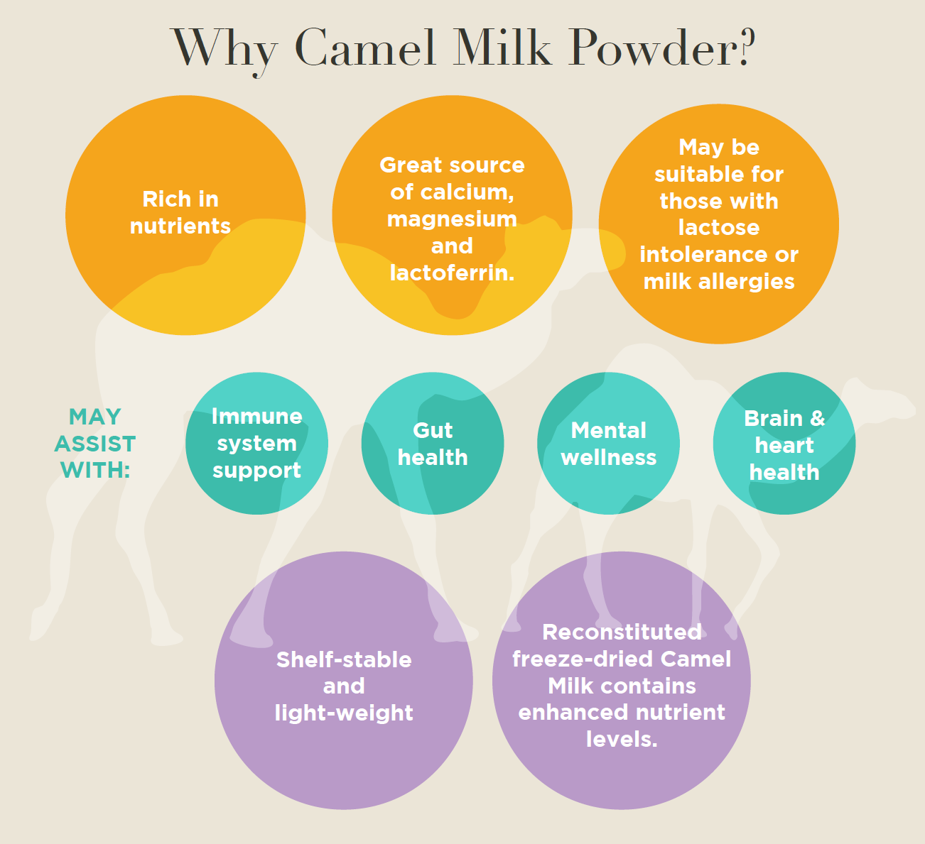 Why Camel Milk Powder?