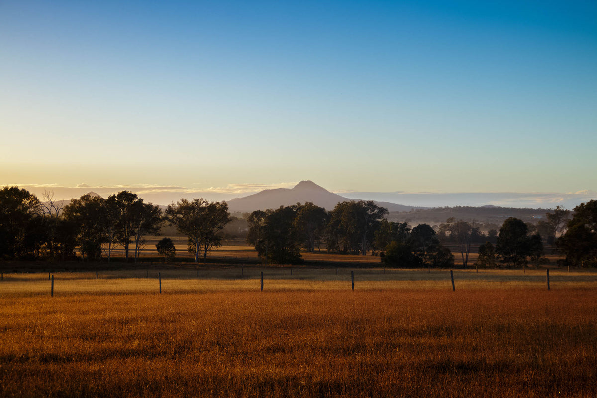 Country Business Retreat