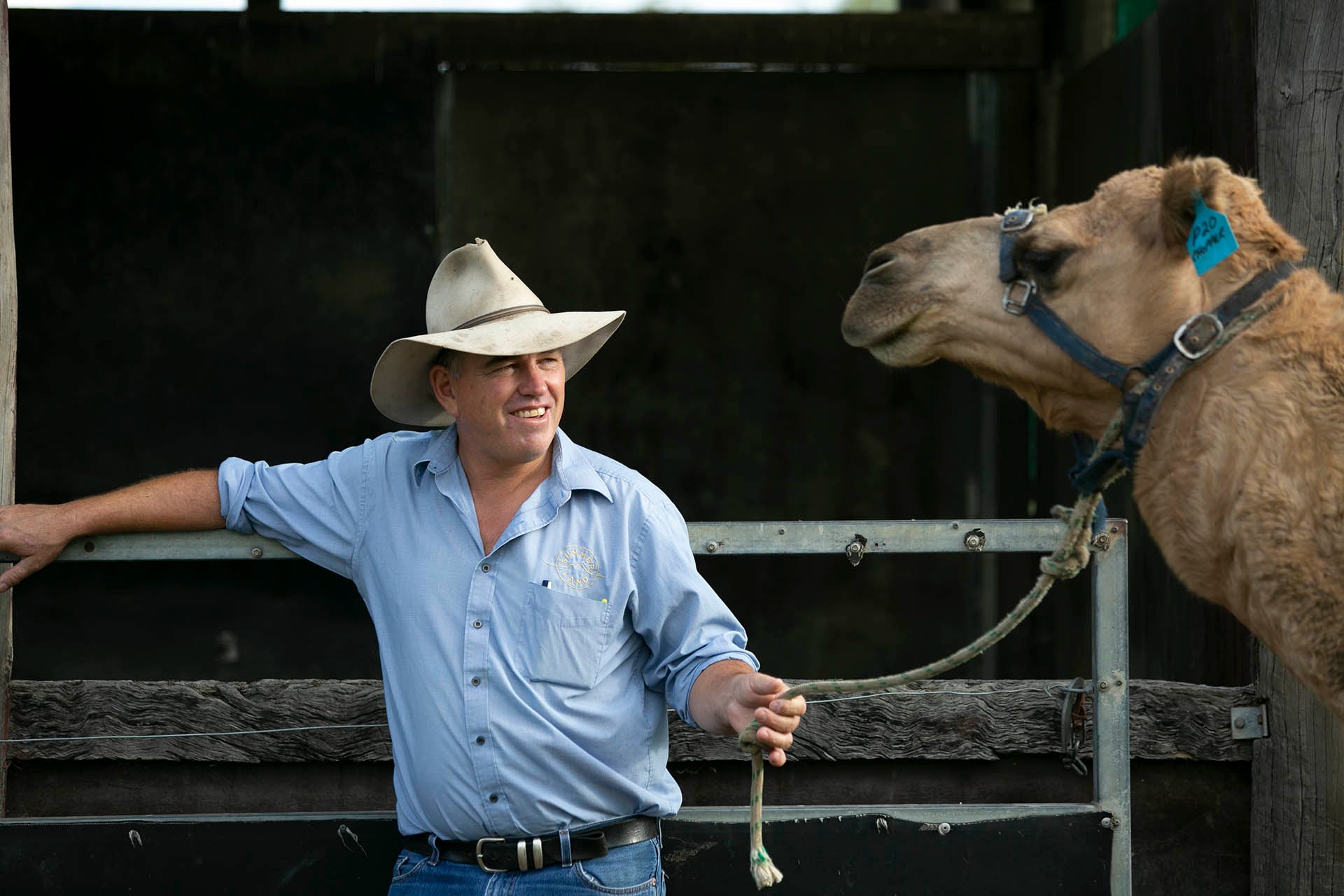 Paul Martin Camel Farm