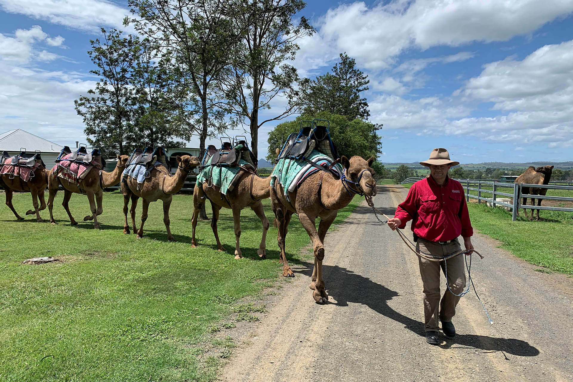 Summer Land Camel Farm