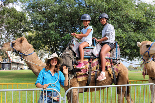 camel rides