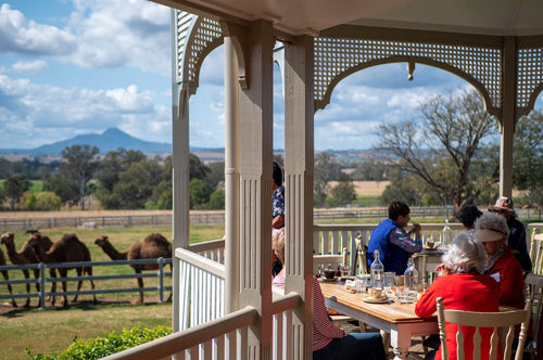 Scenic Rim farm cafe