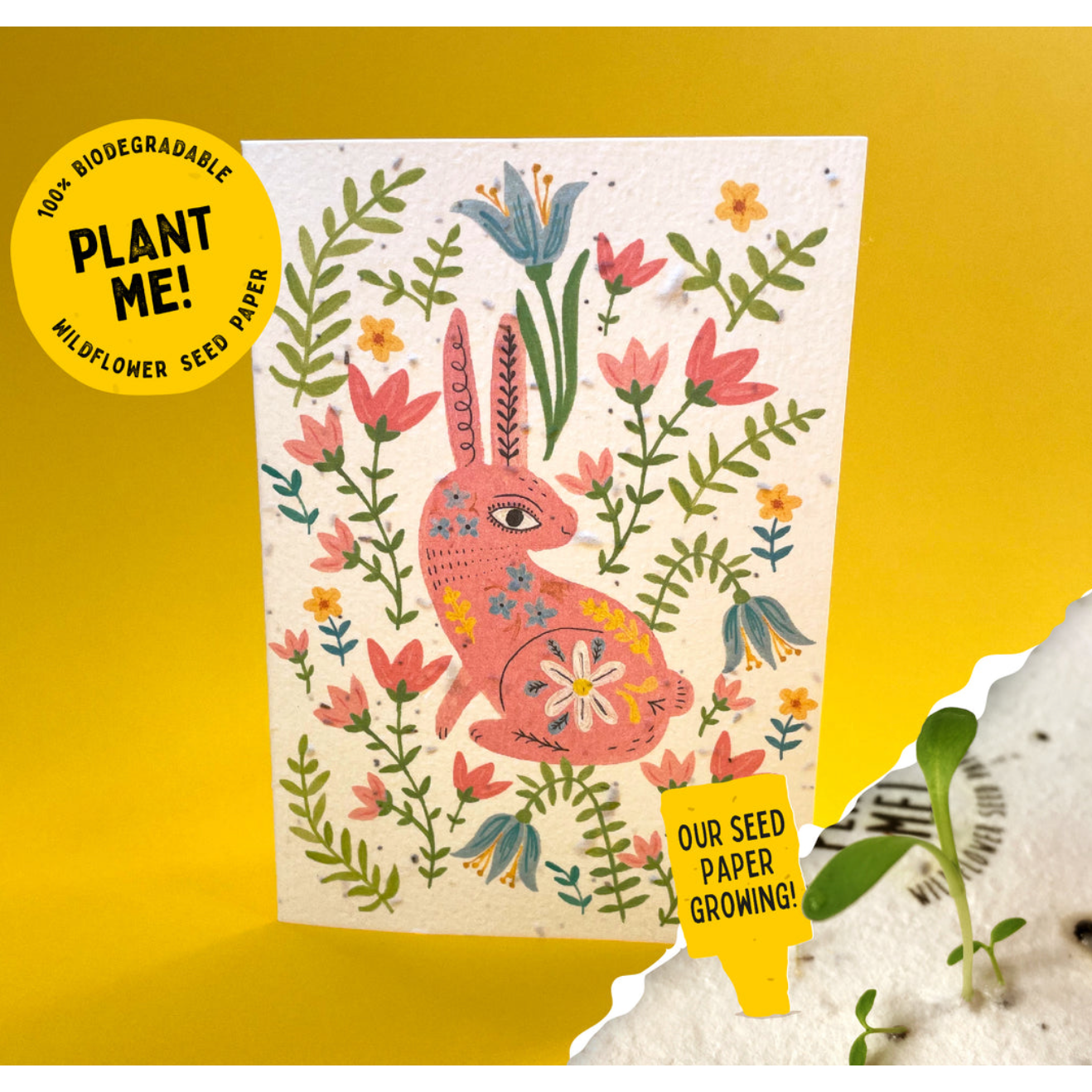 Ruby & Bo 'Happy Hare' Plantable Seed Card