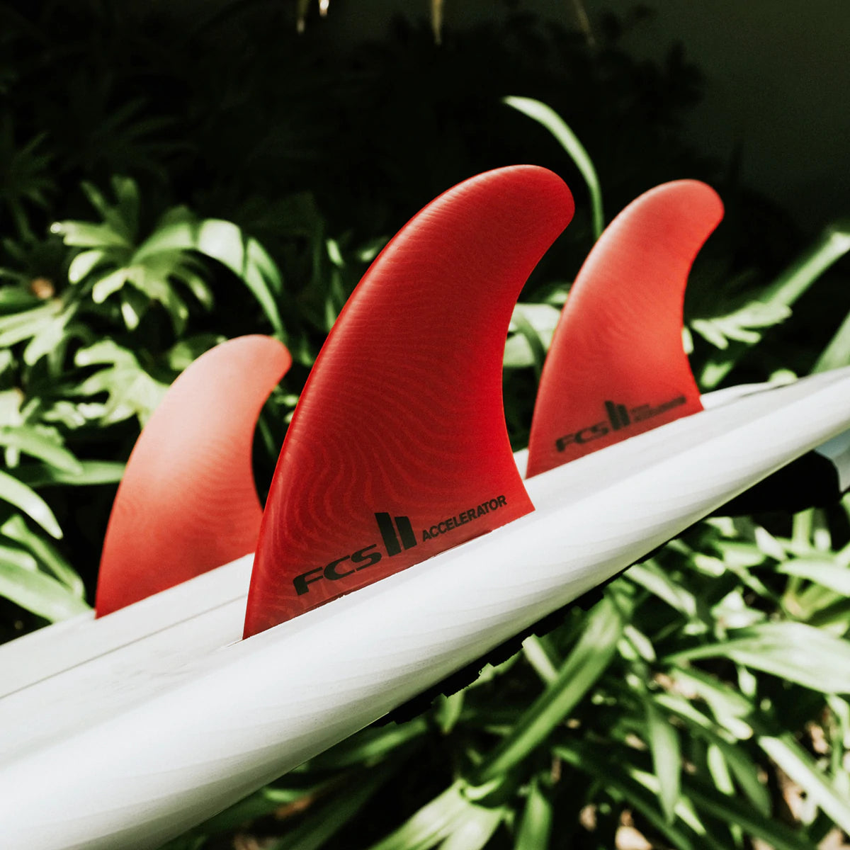 FCS II 'ACCELERATOR' Neo Glass ECO Surfboard Tri Fins - RED - Medium