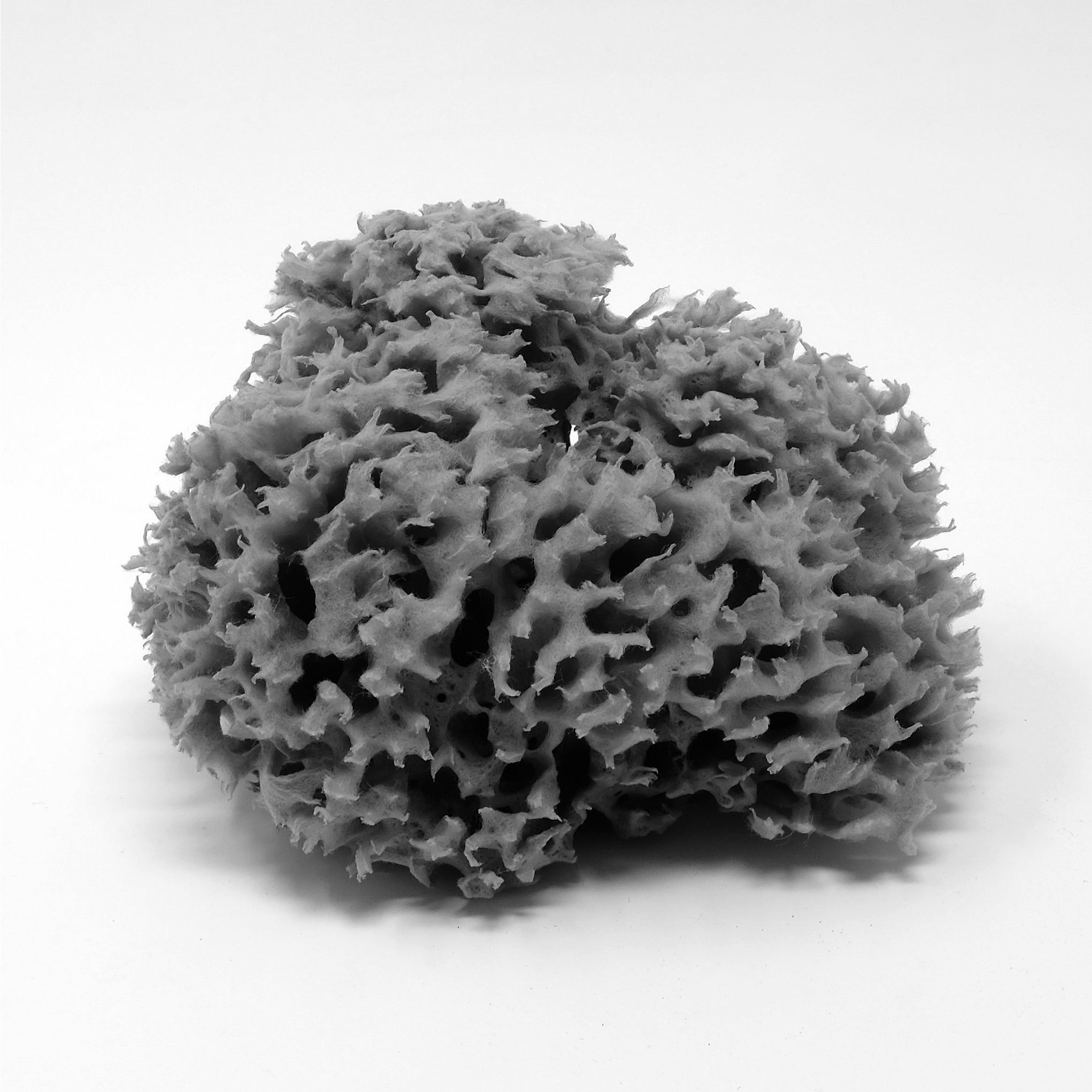 Fill 'Honeycomb' Natural Sea Sponge