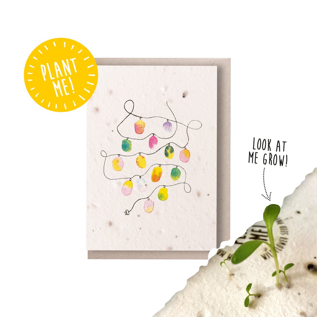 Ruby & Bo 'Christmas Lights' Plantable Notecard