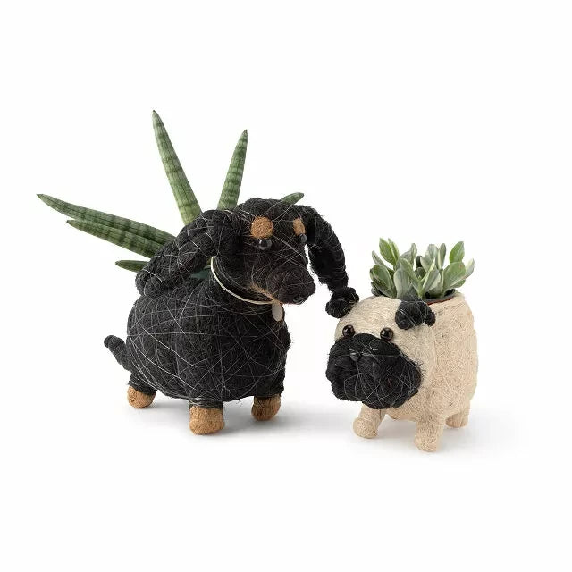 1-pug-gifts-planter