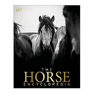 12-horse-gifts-for-women-horse-encyclopedia