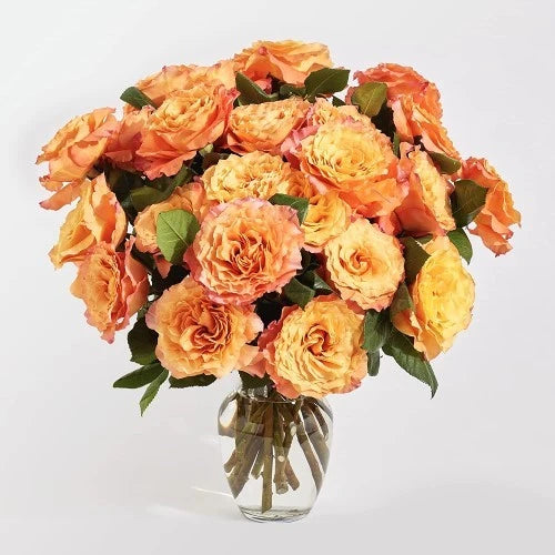 13-80th-birthday-gift-ideas-for-mom-rose-delivery