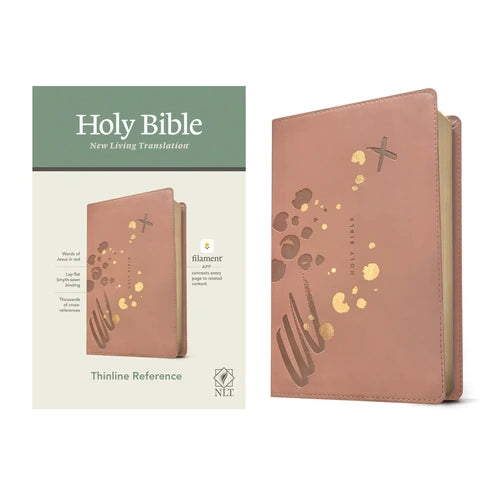13-godmother-gifts-bible