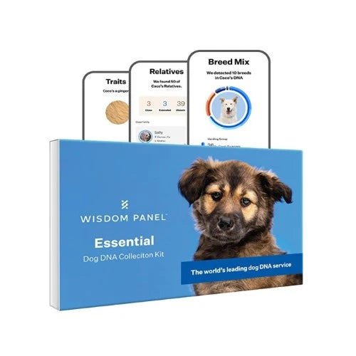 14-dog-dad-gifts-dna-test-kit